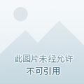 红颜乱有多少章 红颜乱有多少章