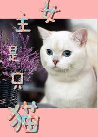 女主是猫的言情 女主是猫的言情