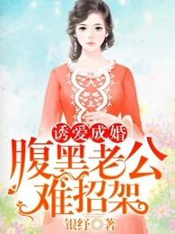 诱妻成瘾腹黑老公太难缠