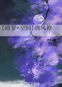 清穿空间清风撩人免费阅读