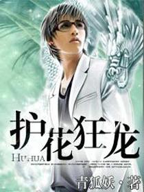 护花狂龙易军有几个红颜 护花狂龙易军有几个红颜