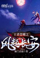 王者荣耀之风起长安明世隐 王者荣耀之风起长安明世隐