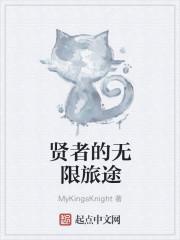 贤者的无限旅途 贤者的无限旅途