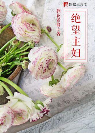 绝望主妇 绝望主妇