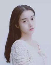 总裁的翻译官夫人 总裁的翻译官夫人